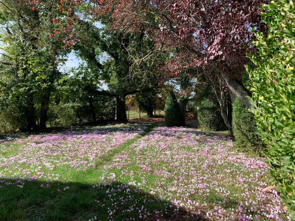 Bed and Breakfast Domaine De Prefond Bengy-sur-Craon Екстер'єр фото