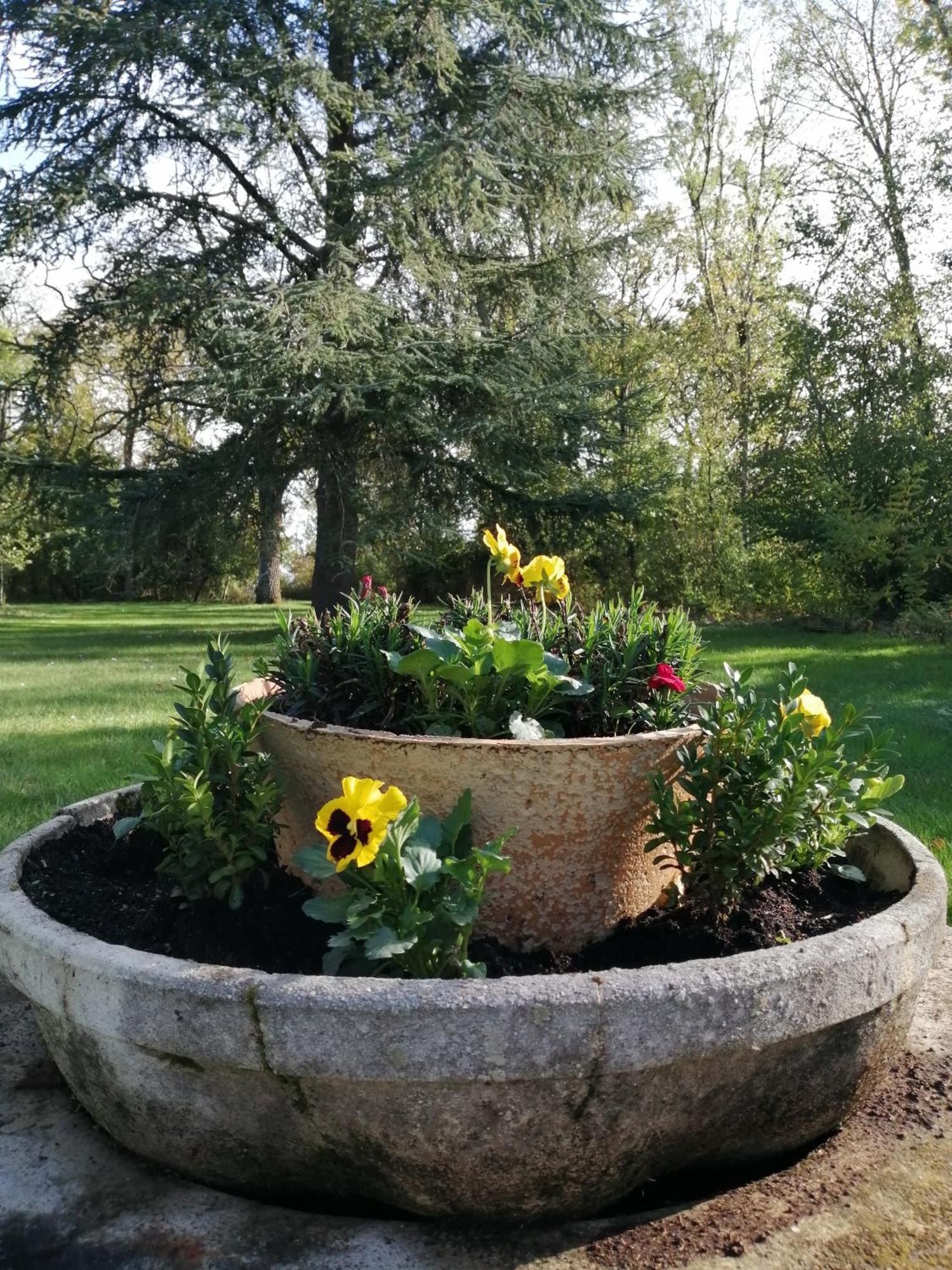 Bed and Breakfast Domaine De Prefond Bengy-sur-Craon Номер фото